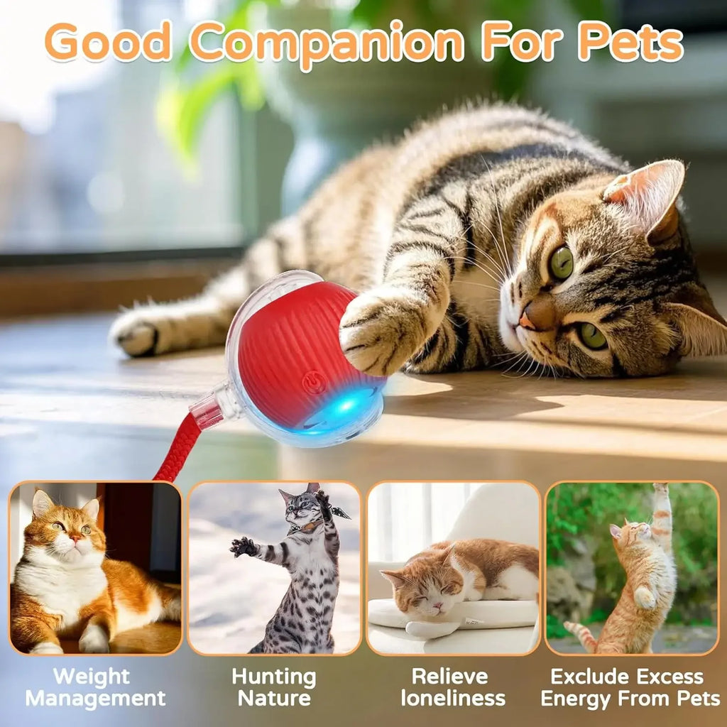 Naveri Smart Cat Toy Ball — Auto-Rolling, Tail-Chasing Fun That Never Gets Old