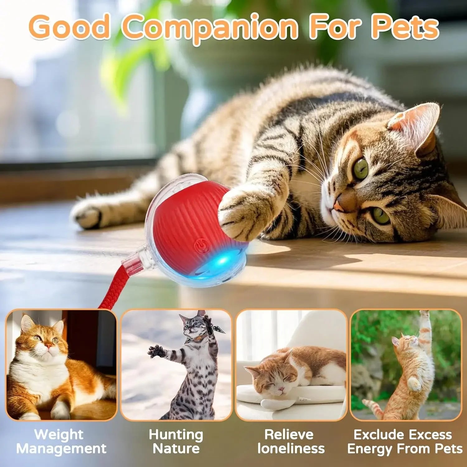 Naveri Smart Cat Toy Ball — Auto-Rolling, Tail-Chasing Fun That Never Gets Old