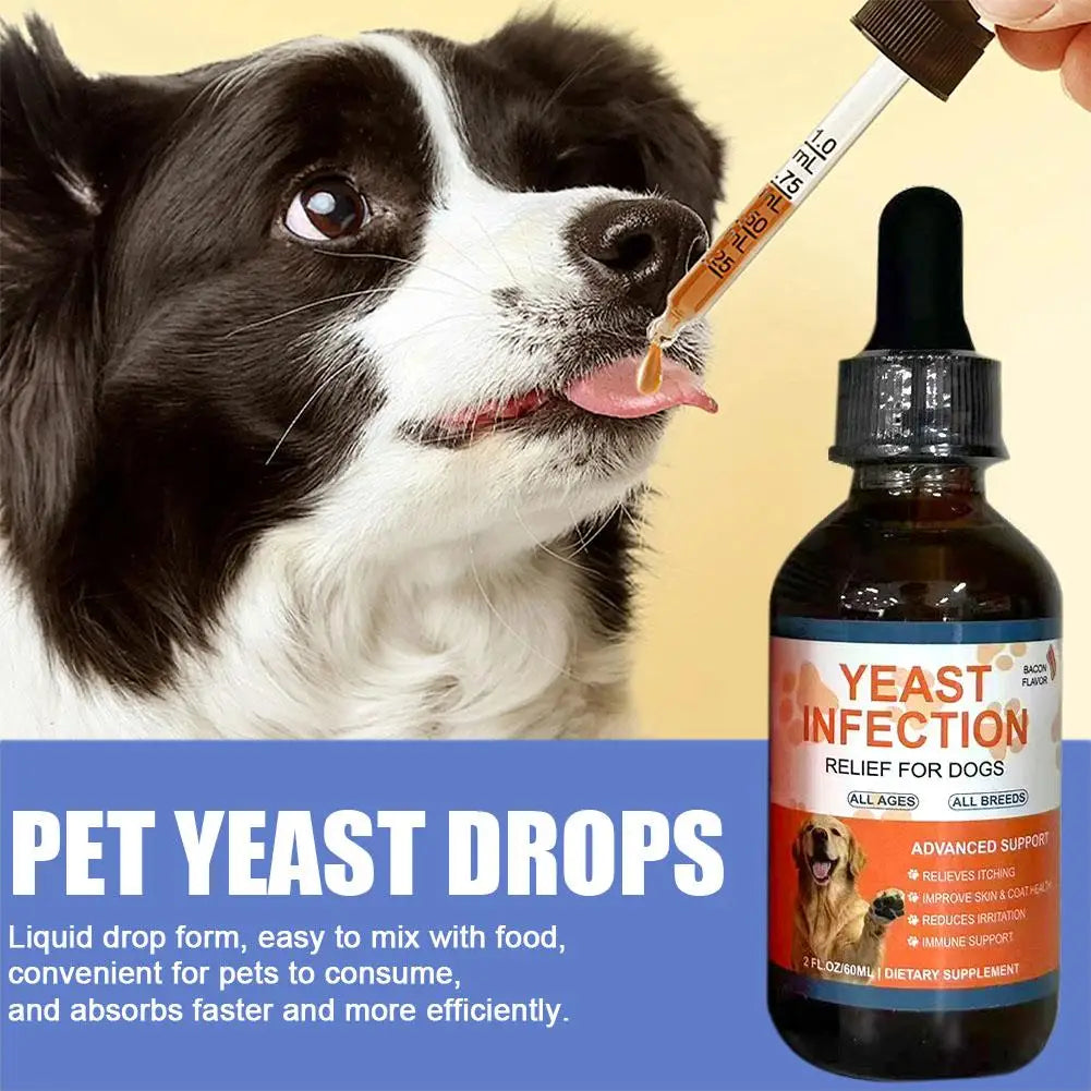 Naveri Herbal Dog Drops — A Gentle Daily Boost for Radiant Coat & Healthy Skin