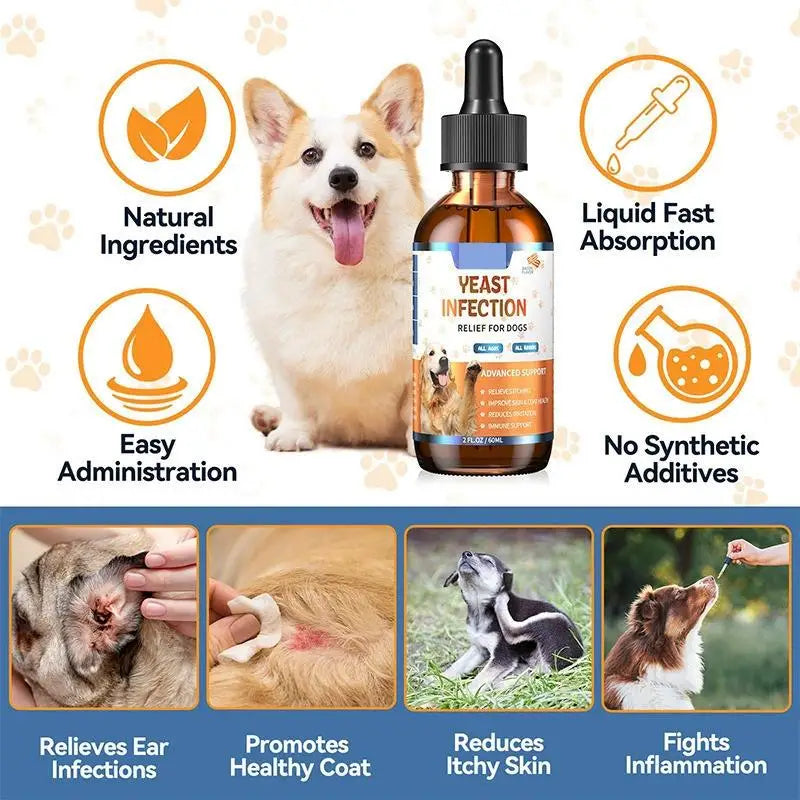Naveri Herbal Dog Drops — A Gentle Daily Boost for Radiant Coat & Healthy Skin